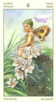 ֮ - The Spirit Of Flowers Tarot -  - Six Of Swords