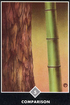  - Osho Zen Tarot -  - Six Of Swords