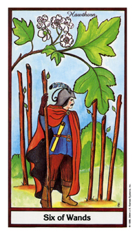 ҩ - Herbal Tarot - Ȩ - Six Of Wands