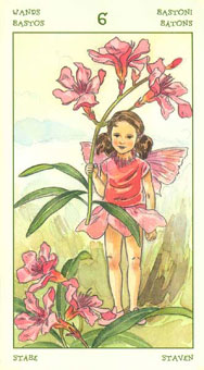 ֮ - The Spirit Of Flowers Tarot - Ȩ - Six Of Wands