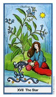 ҩ - Herbal Tarot -  - The Stars