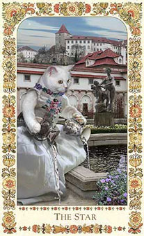 ˲è - Baroque Bohemian Cats Tarot -  - The Stars