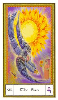 ܶ - Gendron Tarot - ̫ - The Sun