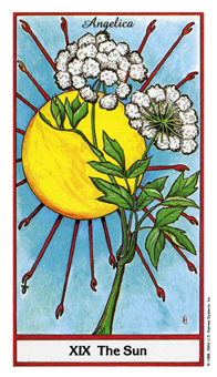 ҩ - Herbal Tarot - ̫ - The Sun