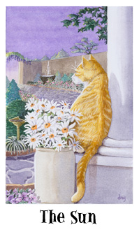 è - Cats Eye Tarot - ̫ - The Sun