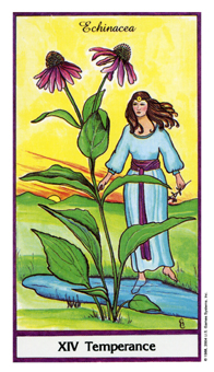 ҩ - Herbal Tarot -  - Temperance