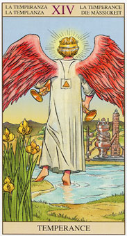 ӽΰ - Tarot of the New Vision -  - Temperance