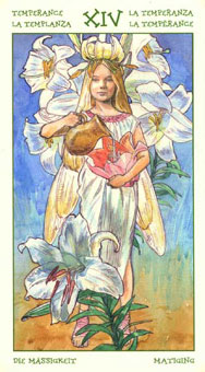 ֮ - The Spirit Of Flowers Tarot -  - Temperance