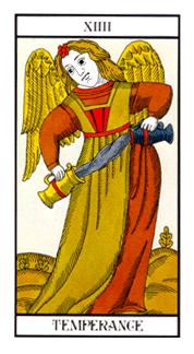 ʹ - Angel Tarot -  - Temperance