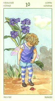 ֮ - The Spirit Of Flowers Tarot - ʥʮ - Ten Of Cups