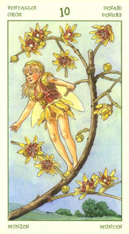 ֮ - The Spirit Of Flowers Tarot - Ǯʮ - Ten Of Pentacles