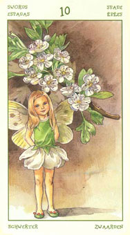 ֮ - The Spirit Of Flowers Tarot - ʮ - Ten Of Swords