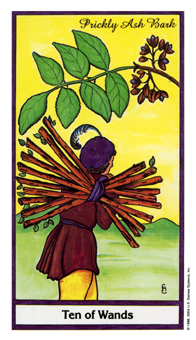 ҩ - Herbal Tarot - Ȩʮ - Ten Of Wands