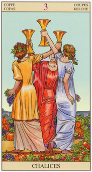 ӽΰ - Tarot of the New Vision - ʥ - Three Of Cups