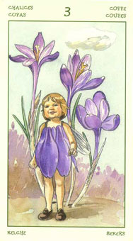 ֮ - The Spirit Of Flowers Tarot - ʥ - Three Of Cups