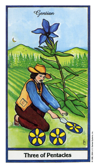 ҩ - Herbal Tarot - Ǯ - Three Of Pentacles