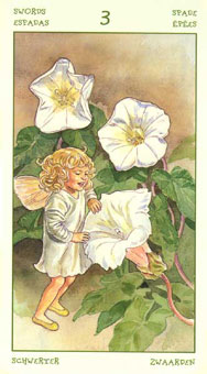 ֮ - The Spirit Of Flowers Tarot -  - Three Of Swords