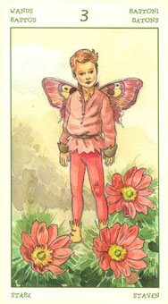 ֮ - The Spirit Of Flowers Tarot - Ȩ - Three Of Wands