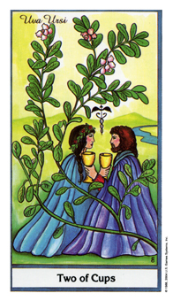 ҩ - Herbal Tarot - ʥ - Two Of Cups