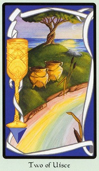  - Faery Wicca Tarot - ʥ - Two Of Cups