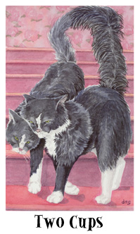 è - Cats Eye Tarot - ʥ - Two Of Cups