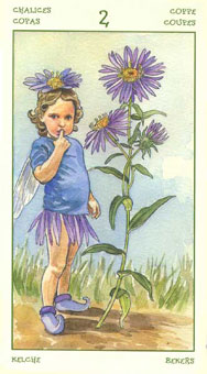 ֮ - The Spirit Of Flowers Tarot - ʥ - Two Of Cups