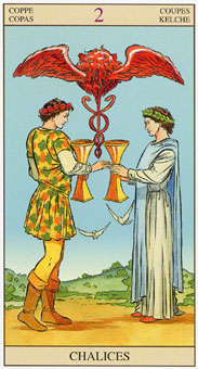 ӽΰ - Tarot of the New Vision - ʥ - Two Of Cups