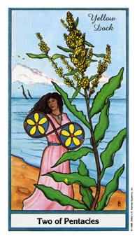 ҩ - Herbal Tarot - ǮҶ - Two Of Pentacles