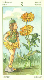 ֮ - The Spirit Of Flowers Tarot - ǮҶ - Two Of Pentacles