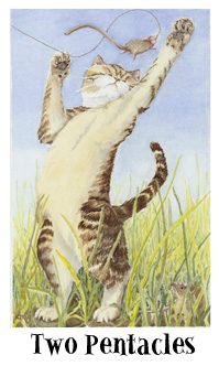 è - Cats Eye Tarot - ǮҶ - Two Of Pentacles