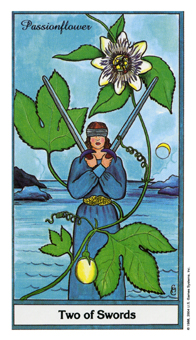 ҩ - Herbal Tarot -  - Two Of Swords