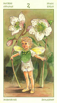 ֮ - The Spirit Of Flowers Tarot -  - Two Of Swords