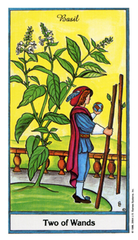 ҩ - Herbal Tarot - Ȩȶ - Two Of Wands