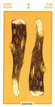 ƽ - Tarots Of The Golden Dawnt - Ȩȶ - Two Of Wands