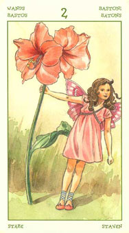 ֮ - The Spirit Of Flowers Tarot - Ȩȶ - Two Of Wands