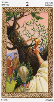 ³ - Tarot of Druids - Ȩȶ - Two Of Wands