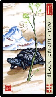 ˮ - Feng Shui Tarot - Ȩȶ - Two Of Wands