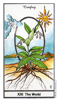 ҩ - Herbal Tarot -  - The World