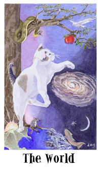 è - Cats Eye Tarot -  - The World